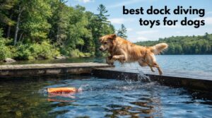 best dock diving toys for dogs