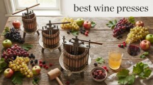 best wine presses