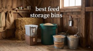best feed storage bins