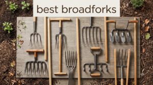 best broadforks