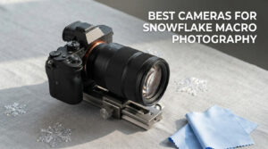 best cameras for snowflake macro photography
