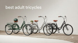 best adult tricycles