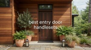 best entry door handlesets