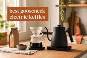 best gooseneck electric kettles