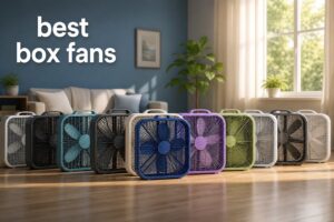 best box fans