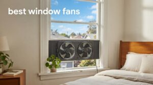 best window fans