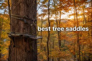 best tree saddles