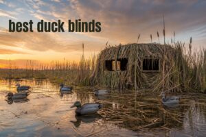 best duck blinds