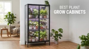 best plant grow cabinets