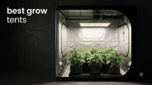 best grow tents