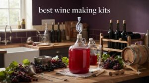 best wine making kits