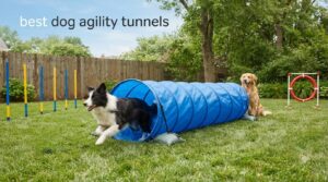 best dog agility tunnels