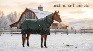 best horse blankets