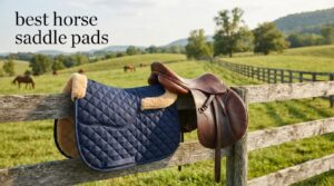 best horse saddle pads