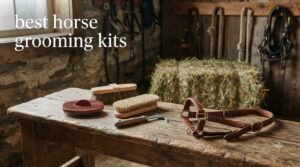 best horse grooming kits