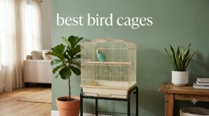 best bird cages