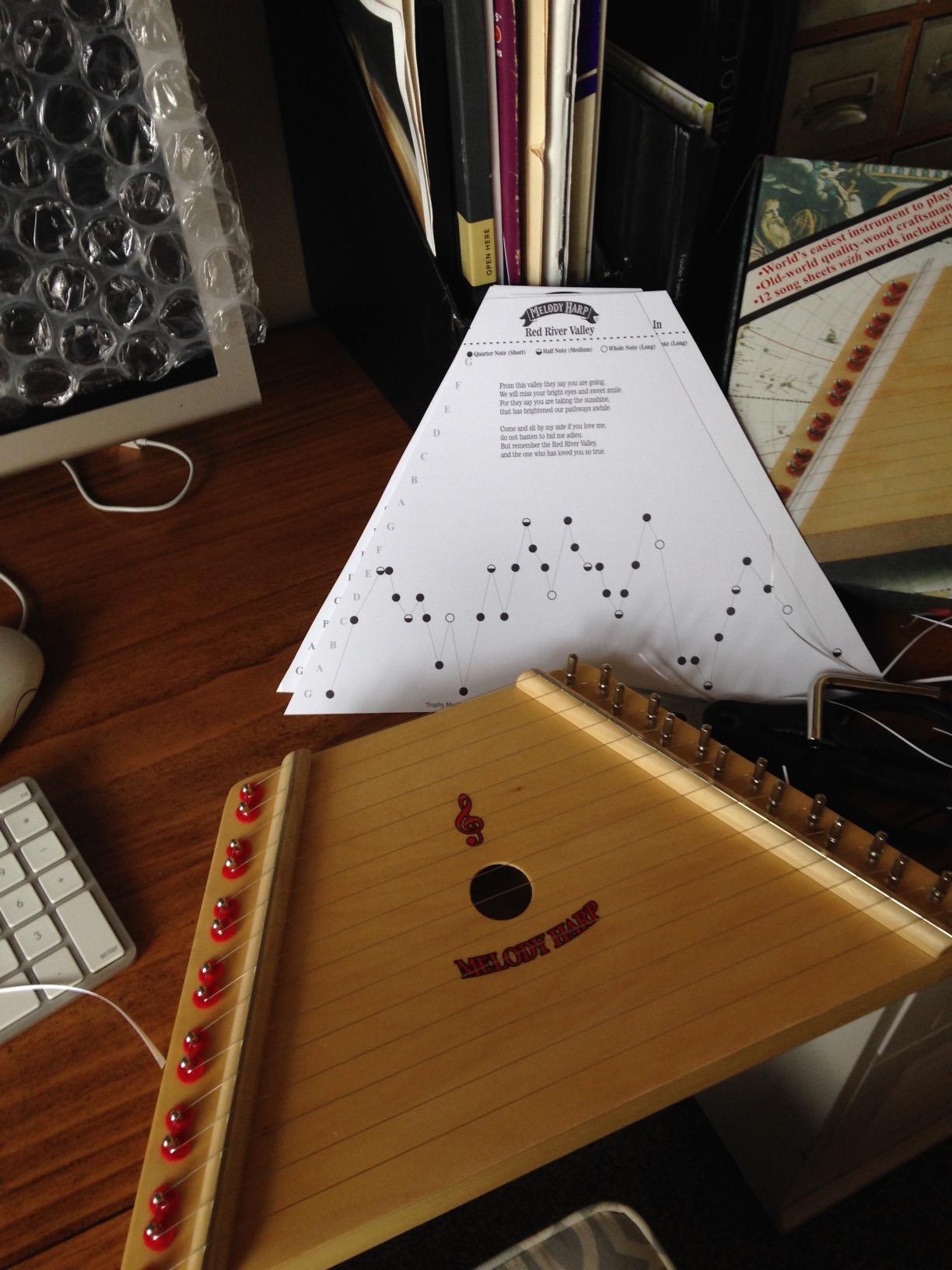 First Note FN600 Firstnote Melody Harp customer photo 2
