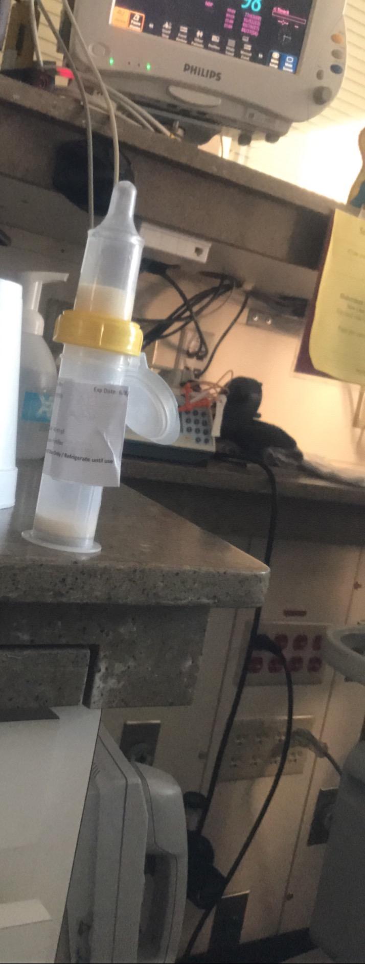 Medela Special Needs Feeder with 80ml Collection Container #6000s customer photo 1