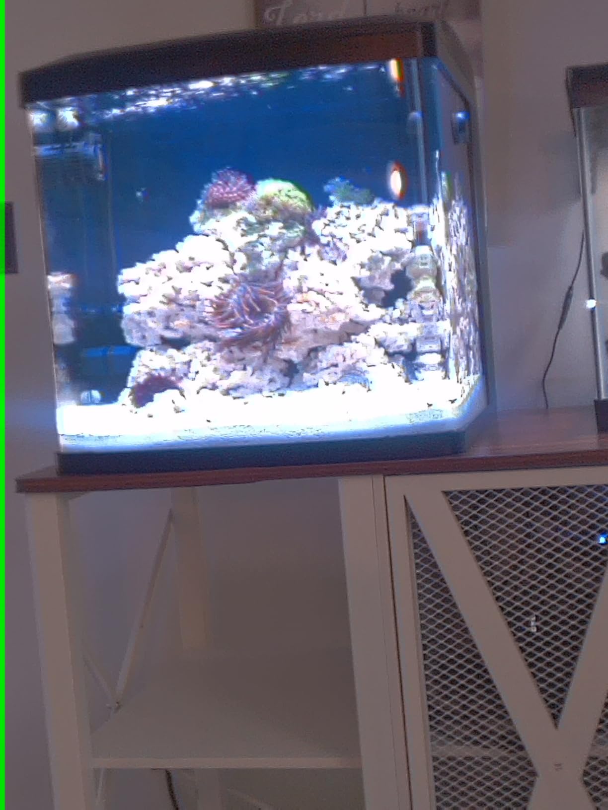 API REEF MASTER TEST KIT Reef Aquarium Water Test Kit 1-Count customer photo 2