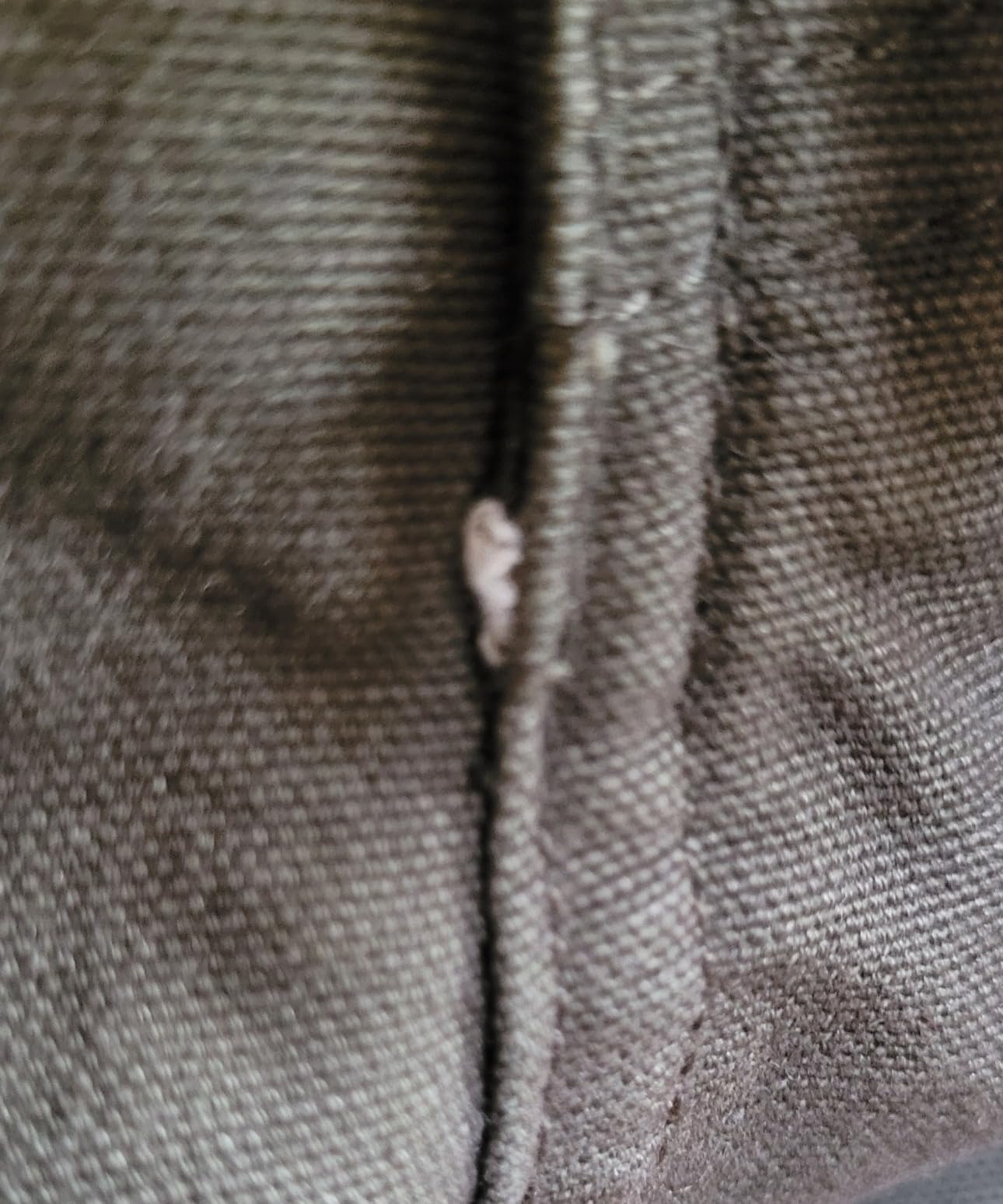 Dickies Men's Relaxed Fit Heavyweight Duck Carpenter Pants customer photo 2