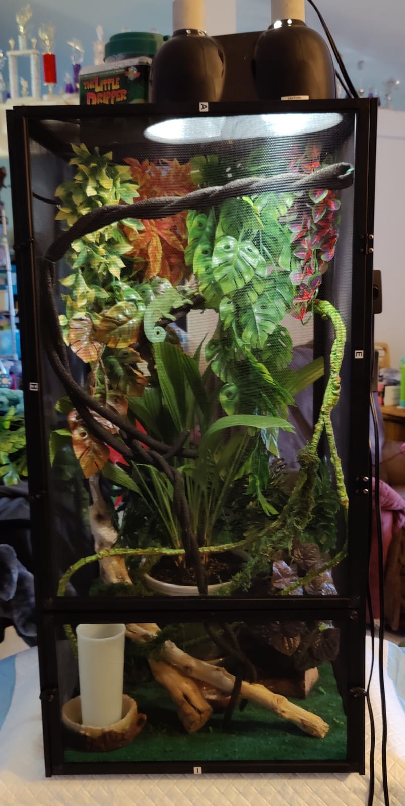 Zoo Med ReptiBreeze Open Air Screen Cage, Large, 18 x 18 x 36-Inches customer photo 1