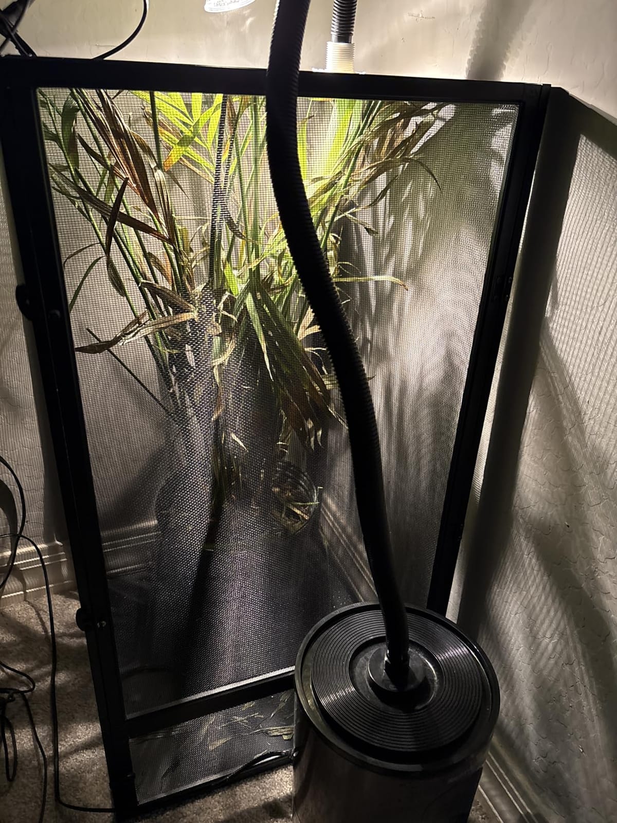 Zoo Med ReptiBreeze Open Air Screen Cage, Large, 18 x 18 x 36-Inches customer photo 2