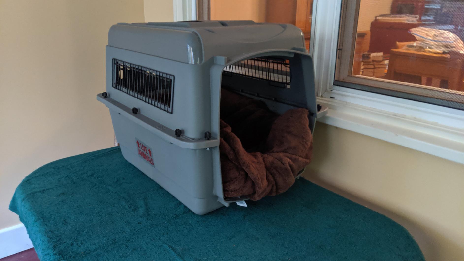 Petmate Sky Kennel for Air Travel, 48in Dog Crate for Pets 90 to 125lbs customer photo 2