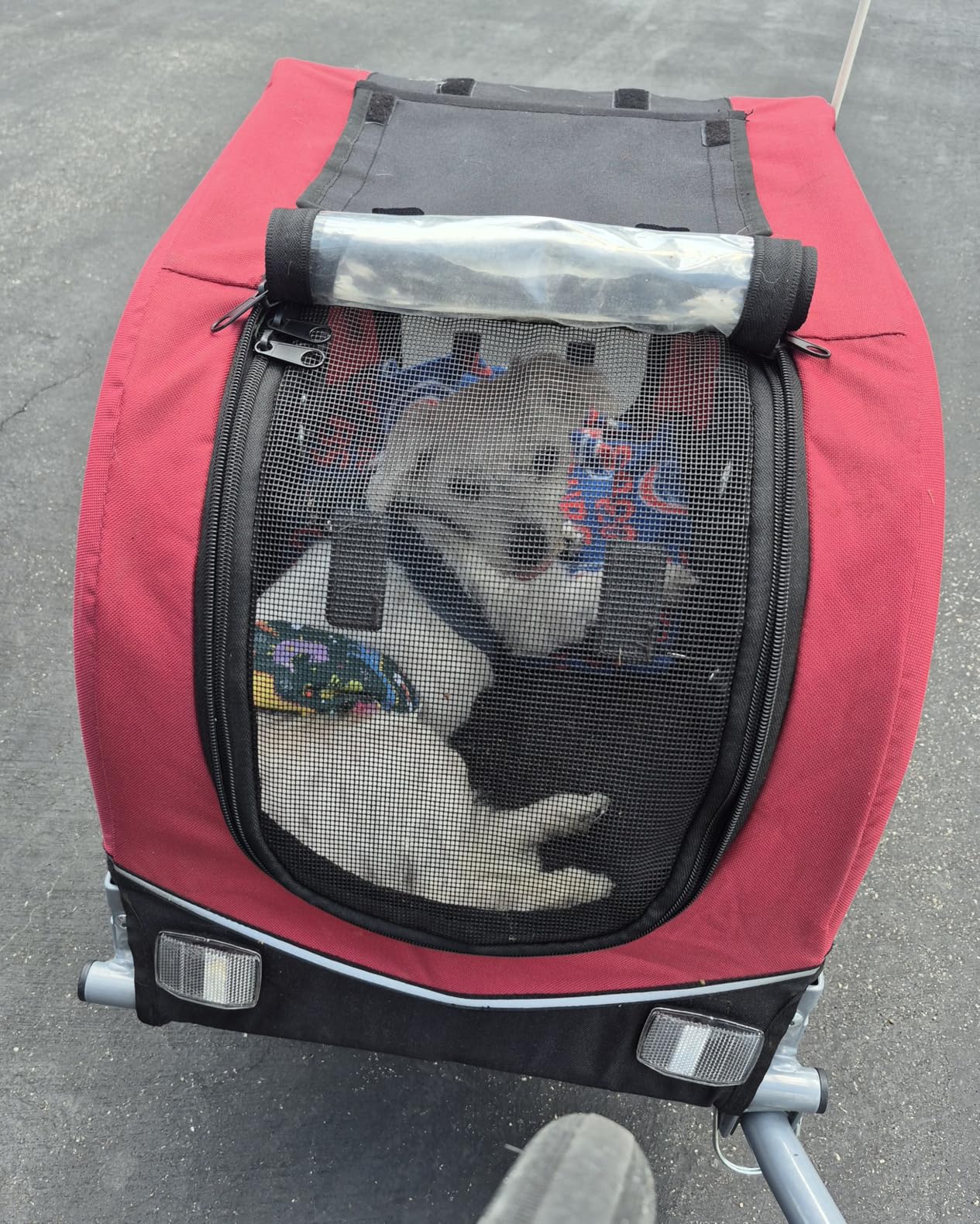 TRIXIE Dog Trailer for Bicycles, Dog Bike Trailer for Small Dogs up to 33 lbs, Quick Set-up and Fold Down, Red customer photo 2