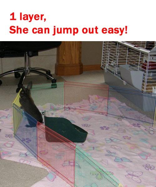 Prevue Pet Products Multi-Color Small Pet Playpen - Multi-Color customer photo 1