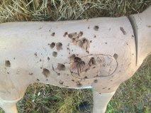 Riverbottom Challenger 3D Archery Target customer photo 1