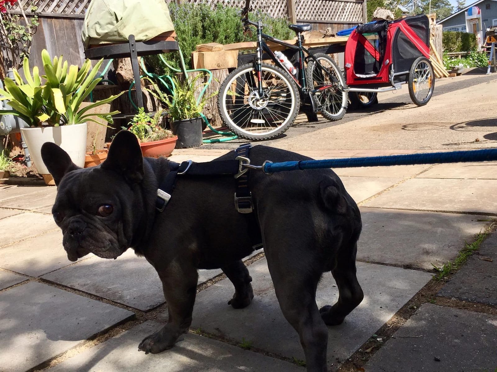 Aosom Dog Bike Trailer Easy Folding Cart Frame 20