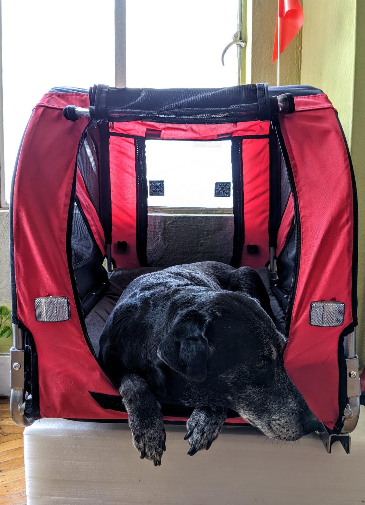 Aosom Dog Bike Trailer Easy Folding Cart Frame 20