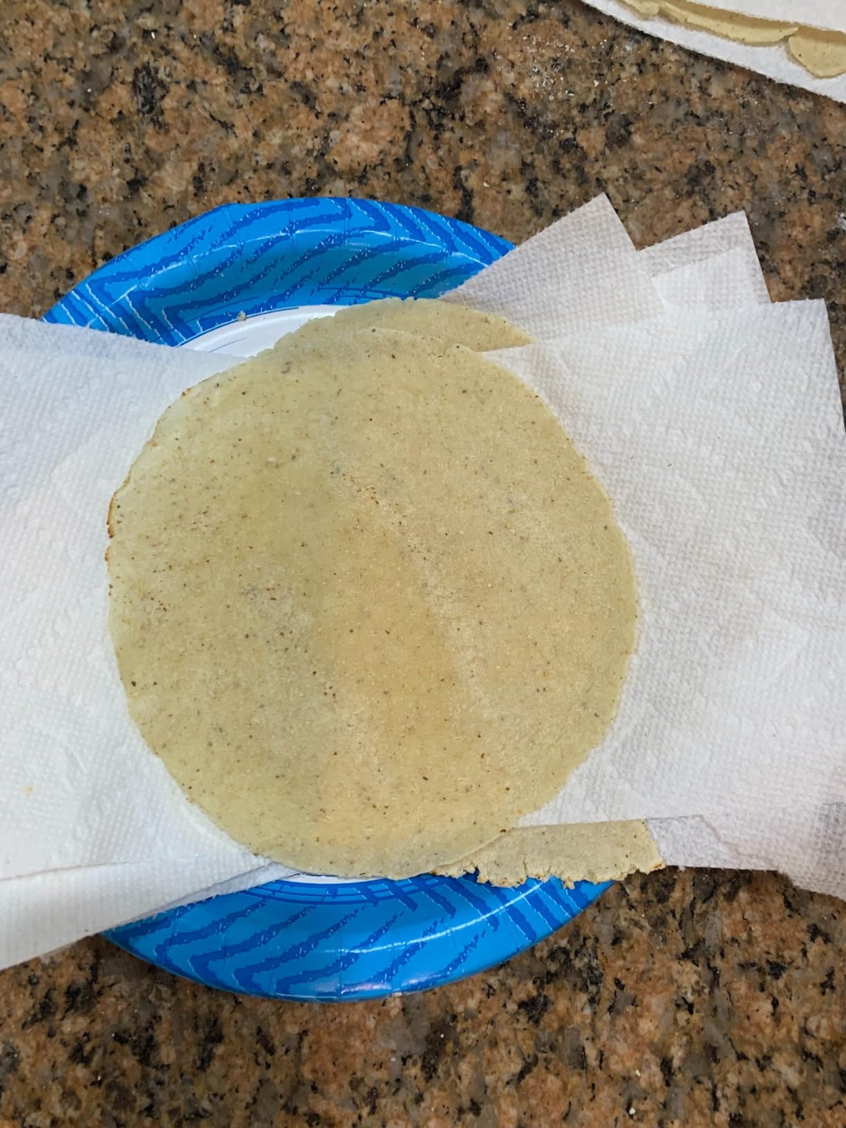 Mexican Cast Iron Electric Corn or Flower Tortilla Maker Gorditas Bunuelos customer photo 1