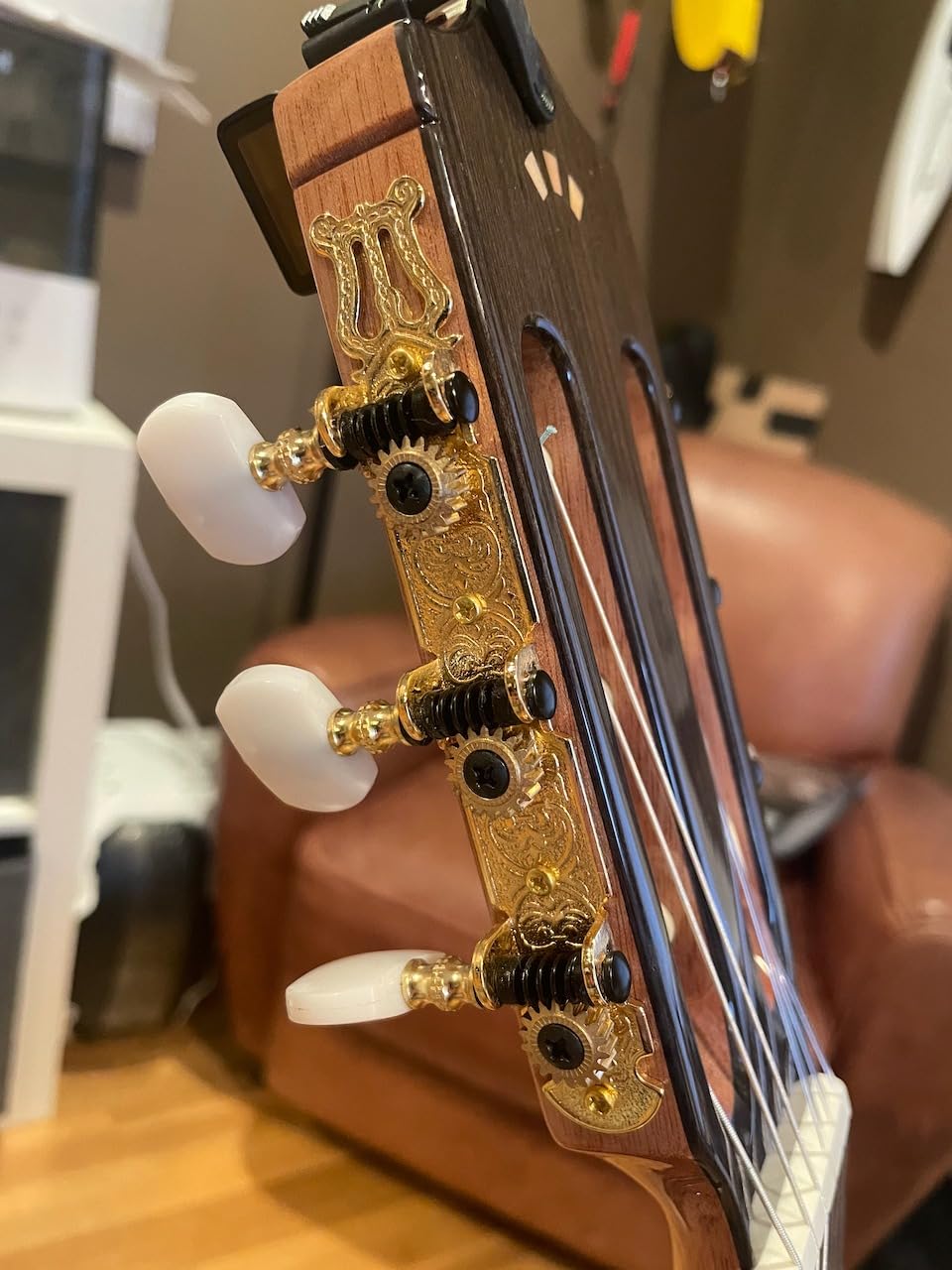 Cordoba Dolce 7/8 Nylon String Acoustic Guitar customer photo 1