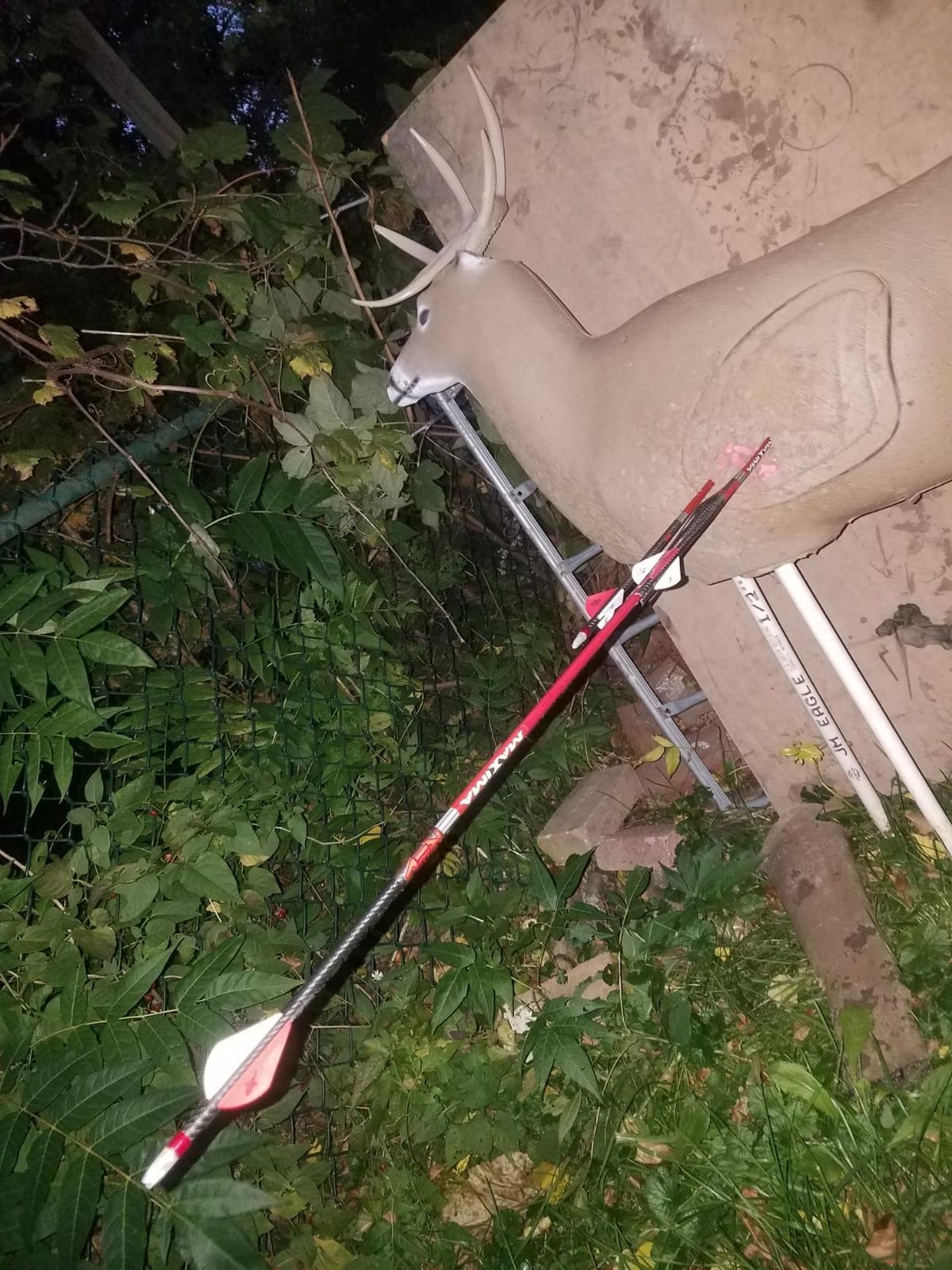 Carbon Express Maxima RED Fletched Carbon Arrows with Dynamic Spine Control and Blazer Vanes, 6-Pack, Available in 250(.400 Spine) & 350(.350 Spine) customer photo 2
