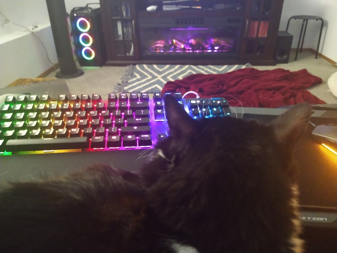Couchmaster CYCON³ HORIZONLIGHT Bar, Ultimate Ergonomic USB-Hub Gaming Lap Desk for Couch and Bed, Large, Stable and Compatible with All Keyboards and Mouse/Mice, Laptops, PCs, PS4/5, Xbox customer photo 2