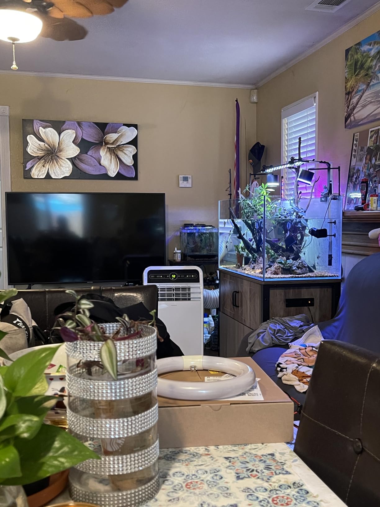 LANDEN Aquarium Cube 6.6 Gallon Ultra Clear Glass Rimless Fish Tank 30C customer photo 1