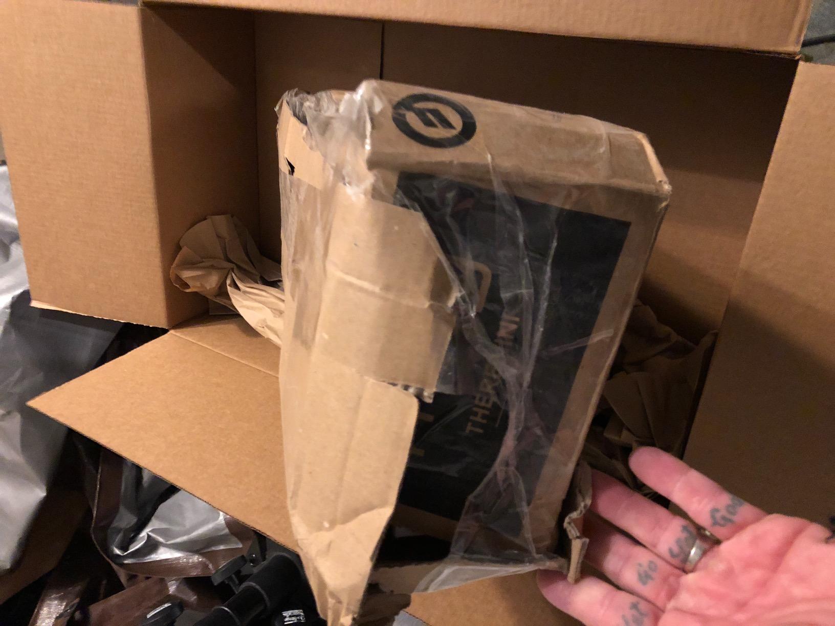 MOOG Theremini Theremin Synthesizer customer photo 1