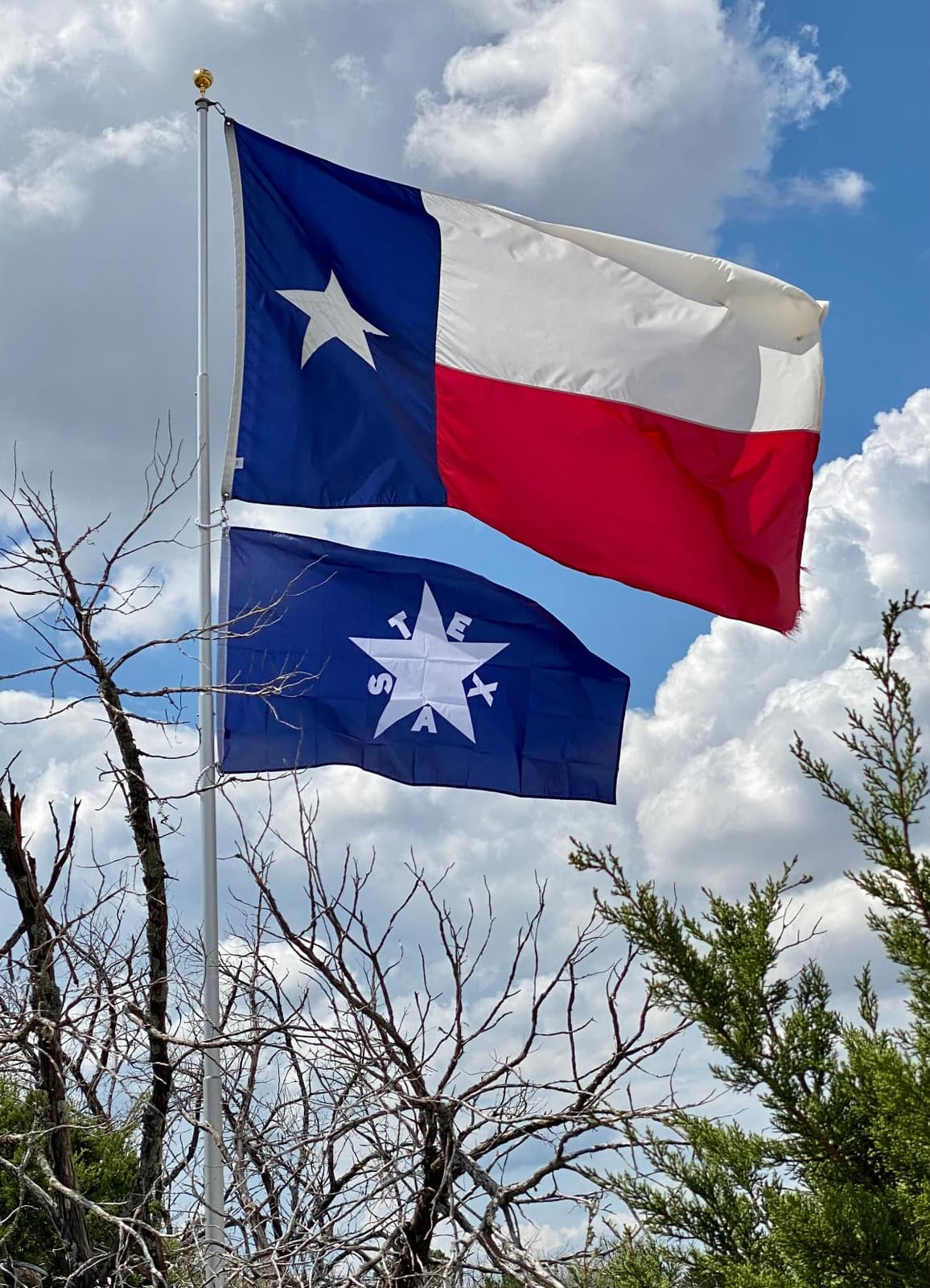 20’ Superior 1 Telescoping Flag Pole with Swivel System, Hardware & Accessories - 2.75” Diameter, 7000-T8 Aluminum Construction, 15 Year Warranty - Made in The USA (Silver) customer photo 2