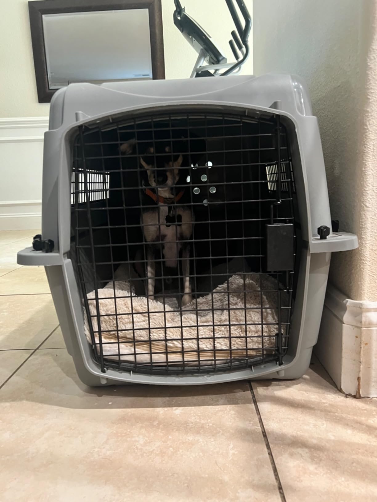 Skudo by MidWest 32-Inch Travel Carrier, Gray, Fits Pets up to 40 lbs customer photo 2