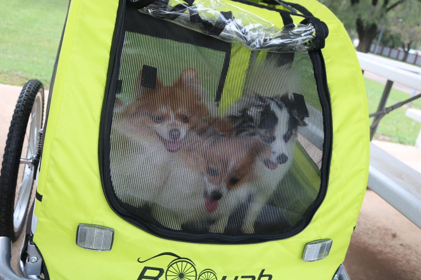 Booyah Large Pet Bike Trailer Dog Stroller & Jogger with Shocks Non Tipping. Green/Yellow customer photo 2