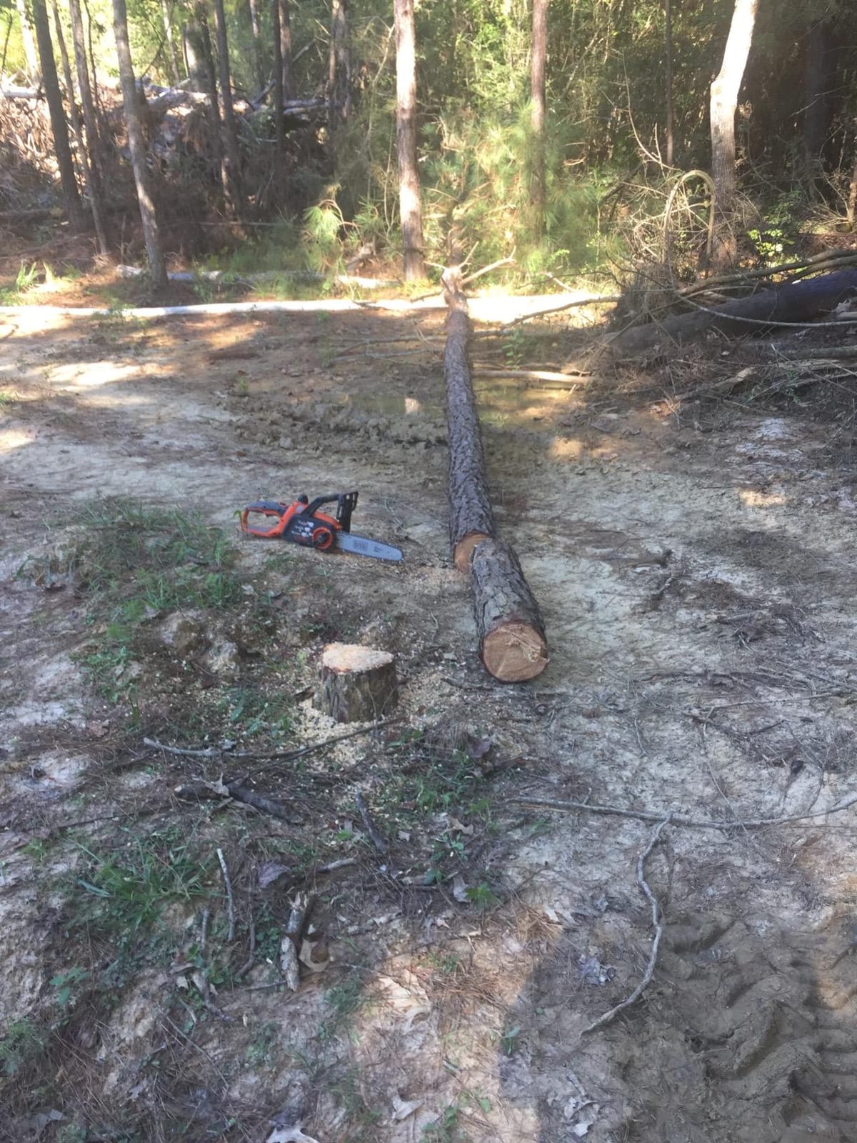 BLACK+DECKER 20V MAX Electric Chainsaw, 10 inch Cordless Chainsaw with Battery and Charger Included, Automatic Oiler, Low Kickback Power Chain Saws (LCS1020) customer photo 2