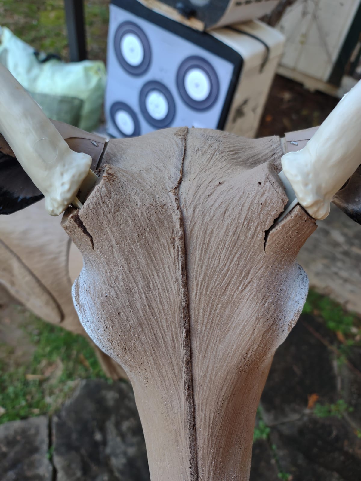 Delta 51490 Bloodline Buck, X-Large customer photo 2