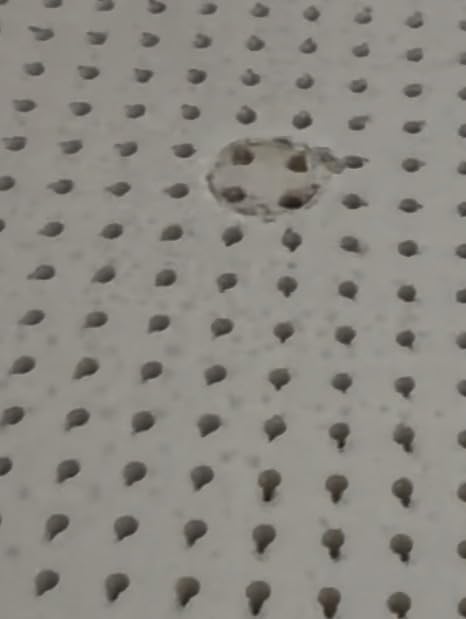 Pure Green Natural Latex Mattress Topper - Soft - 2 Inch - Queen Size (GOLS Certified Organic) customer photo 2