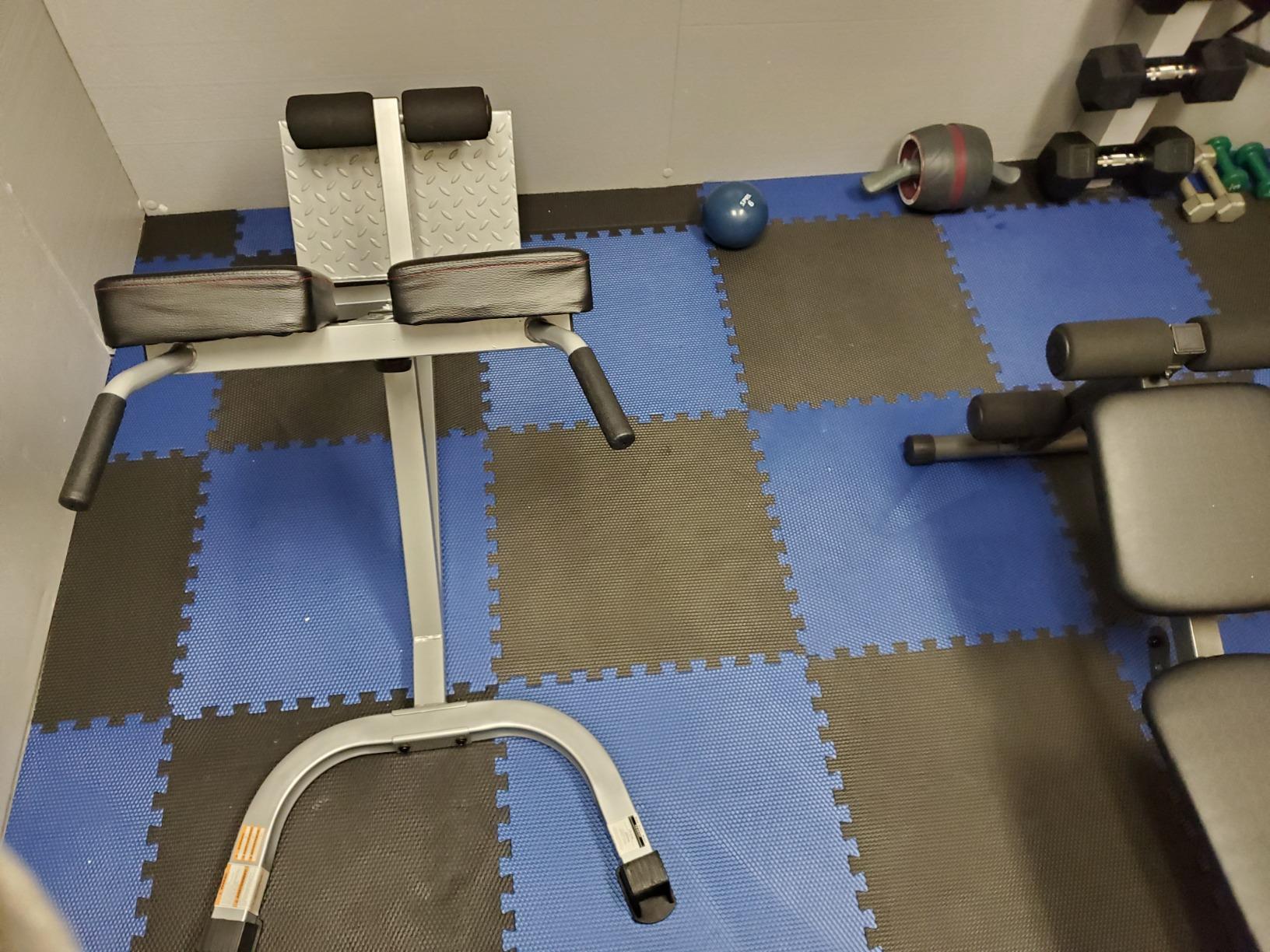 CAP Barbell Strength Hyperextension customer photo 1