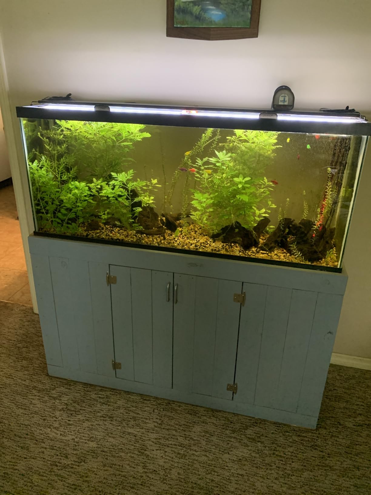 Marineland Magniflow 250 GPH Canister Aquarium Filter customer photo 1