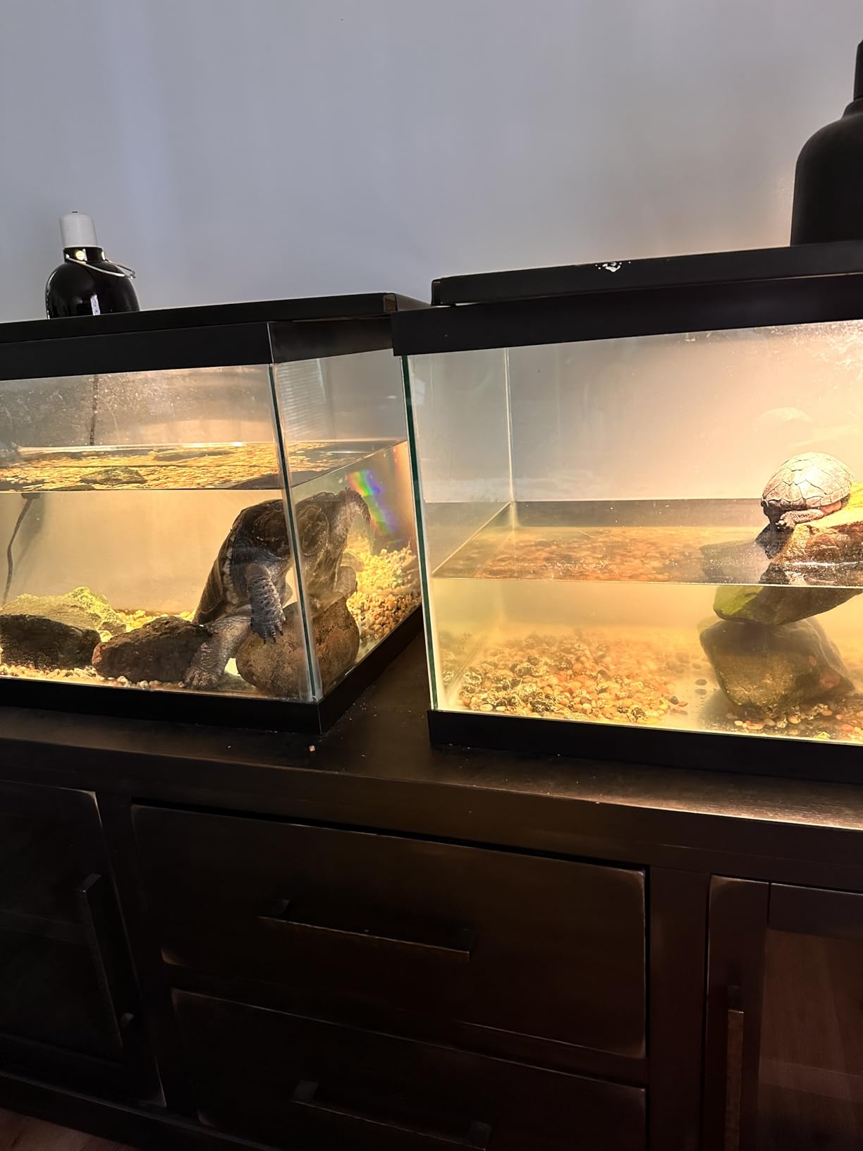 Marineland Magniflow 250 GPH Canister Aquarium Filter customer photo 2