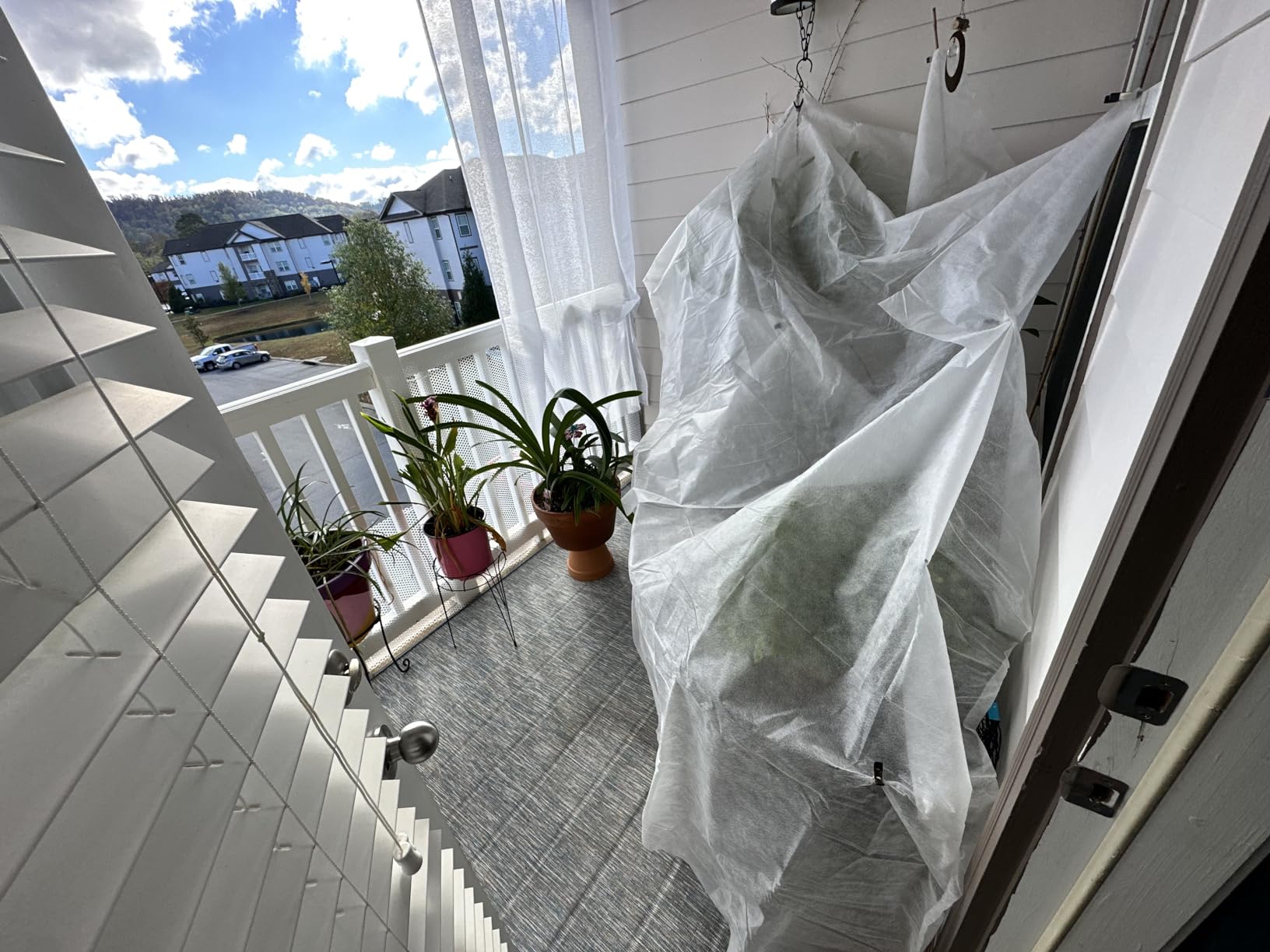 Agfabric Plant Covers Freeze Protection Frost Blankets for Plants 10'x50' 1.2oz Floating Row Cover Garden Plant Cover Freeze Cloths for Plants Winter Frost Freezing Protection,White customer photo 2