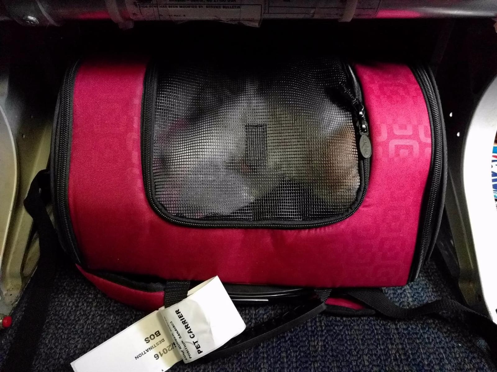 Gen7Pets Dog Carrier - Large Red Roller Bag Pet Carrier customer photo 1