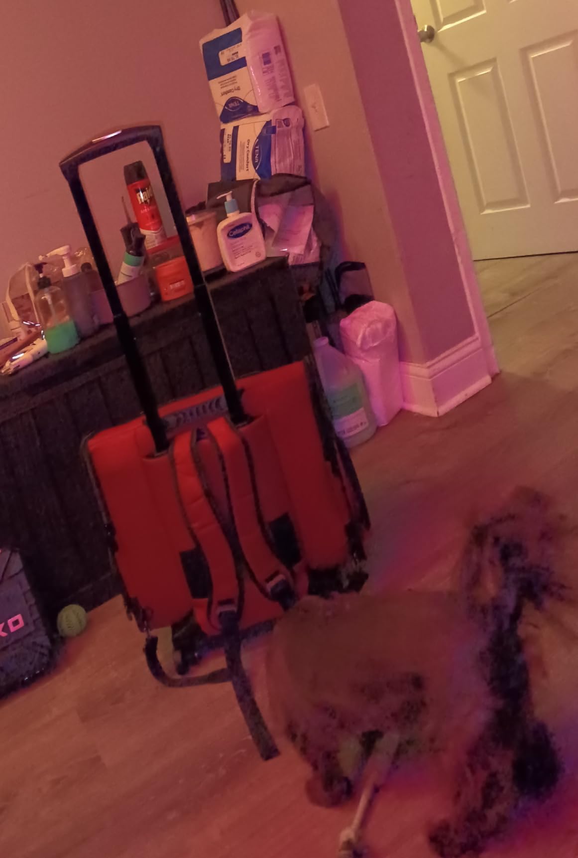 Gen7Pets Dog Carrier - Large Red Roller Bag Pet Carrier customer photo 2